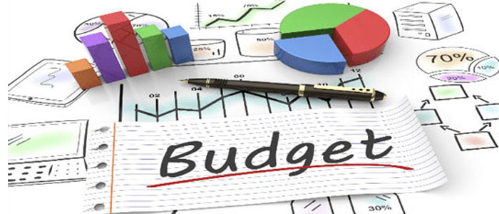 Budgeted Units در پریماورا بودجه هزینه منبع resource primavera p6 msp dcc pmo آموزش pmbok
